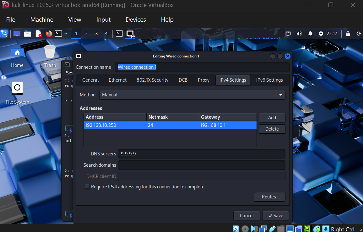 Kali IP Configuration